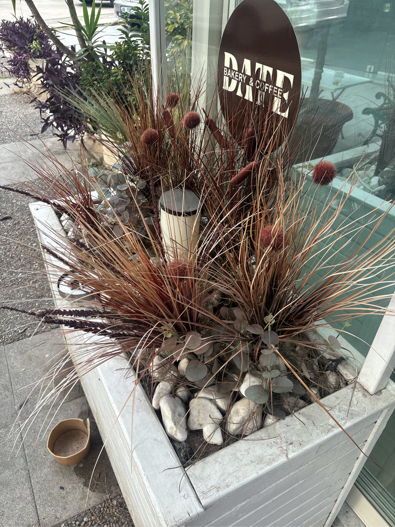 Graminées à plumes — Bild 5