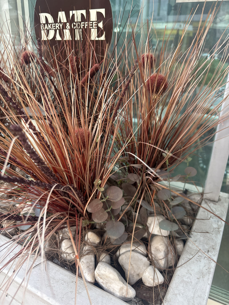 Graminées à plumes — Bild 4