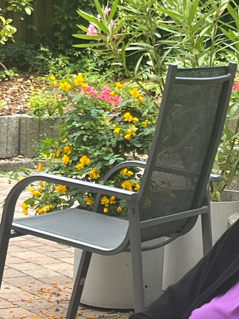 En arrière-plan, un arbrisseau en fleurs avec des fleurs jaunes se trouve dans un jardin. Une chaise de jardin grise est visible au premier plan.