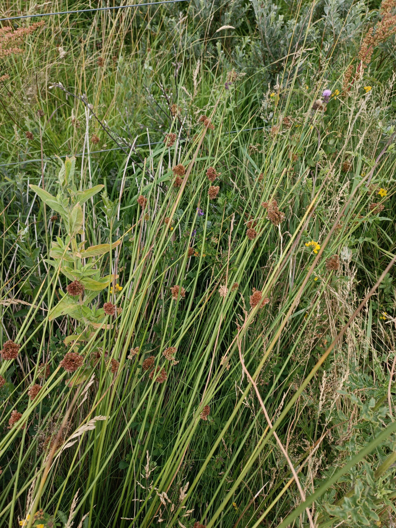 Ruée vers le flottement — Bild 1