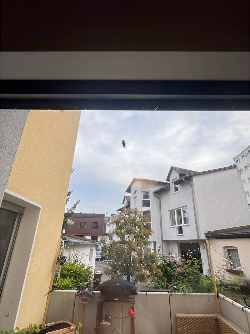 voler — Bild 4