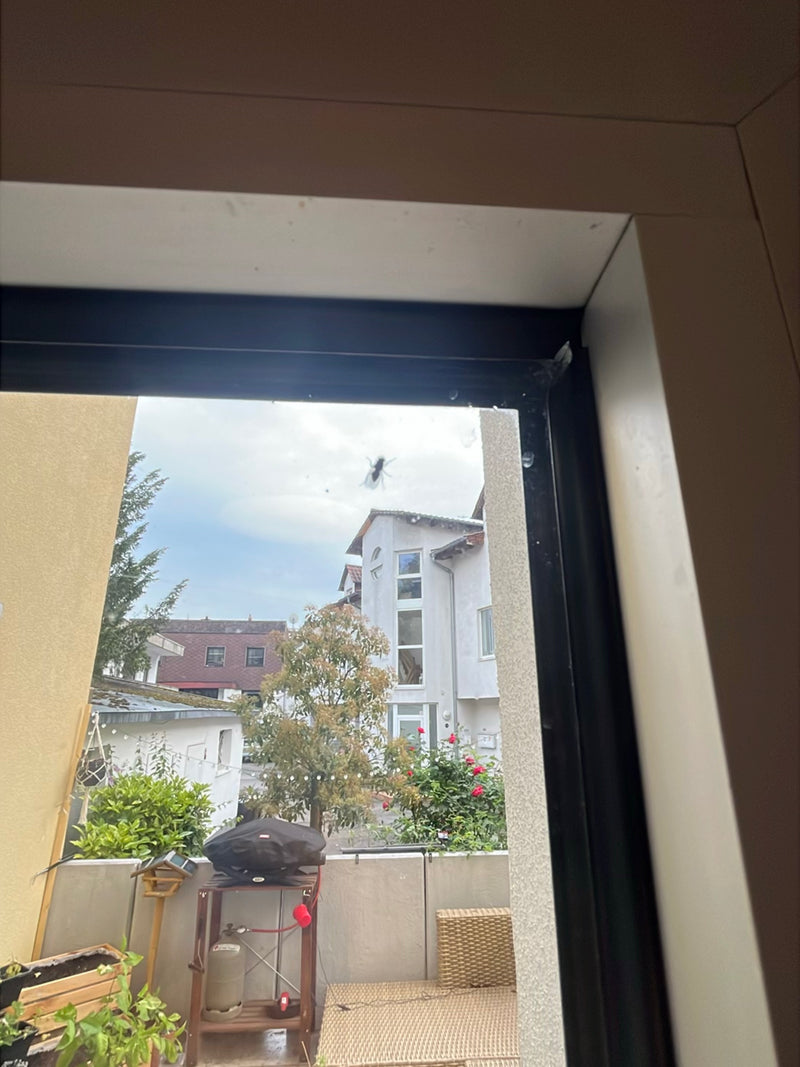 voler — Bild 2