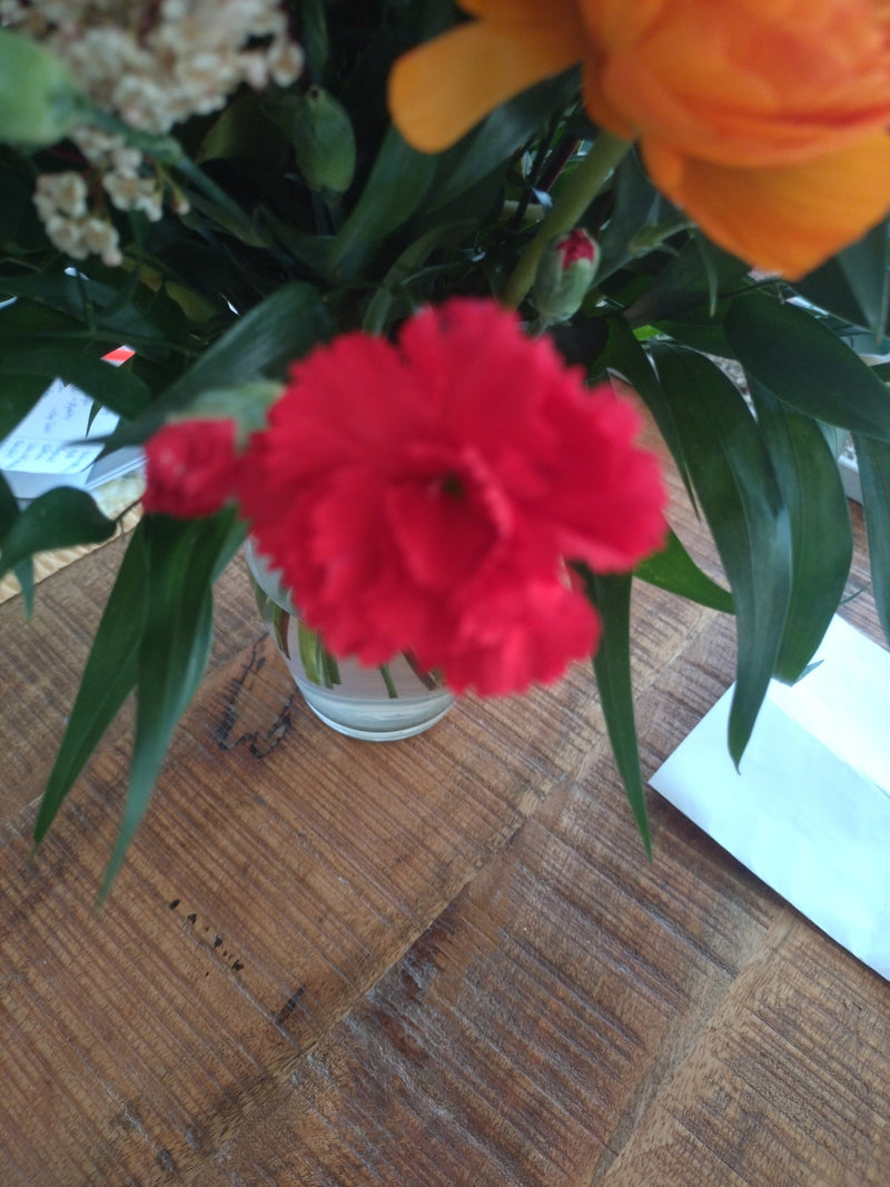 Œillet — Bild 1