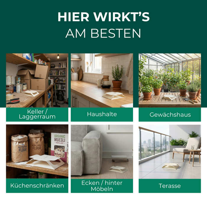 Das Poster zeigt verschiedene Pflanzenarten im Garten.