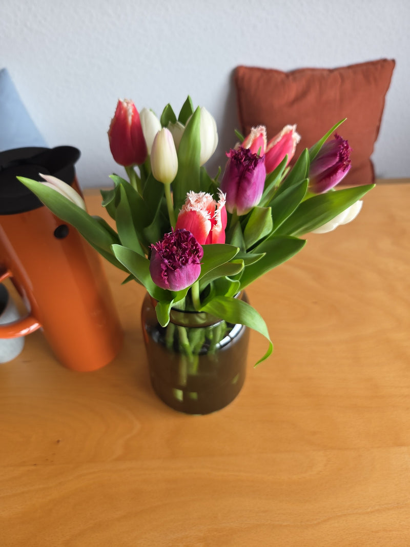 Tulipe de jardin — Bild 1