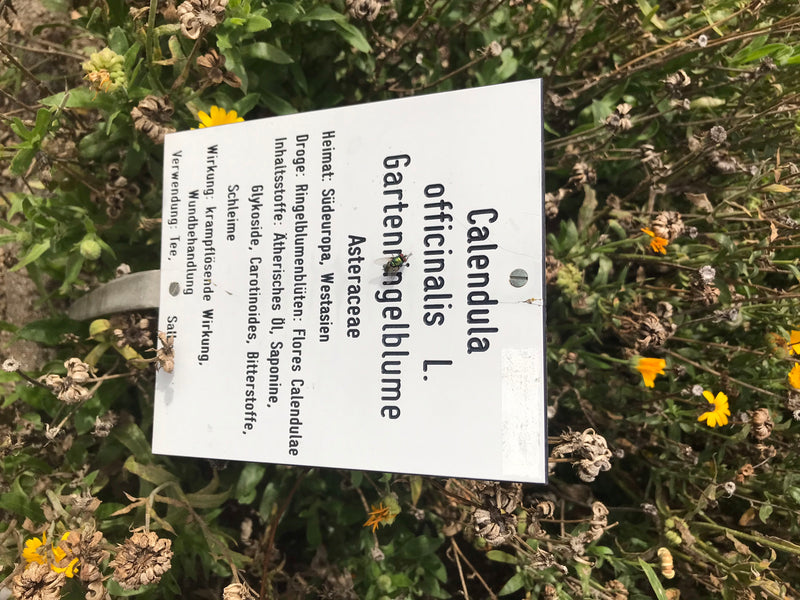 Gelbes Schmuckkörbchen — photo 2 sur 5
