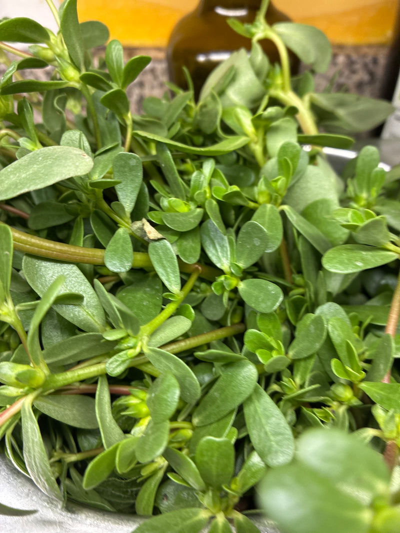 Purslane — Bild 1