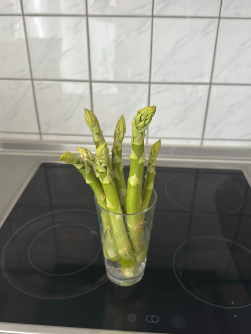 asperge — Bild 1