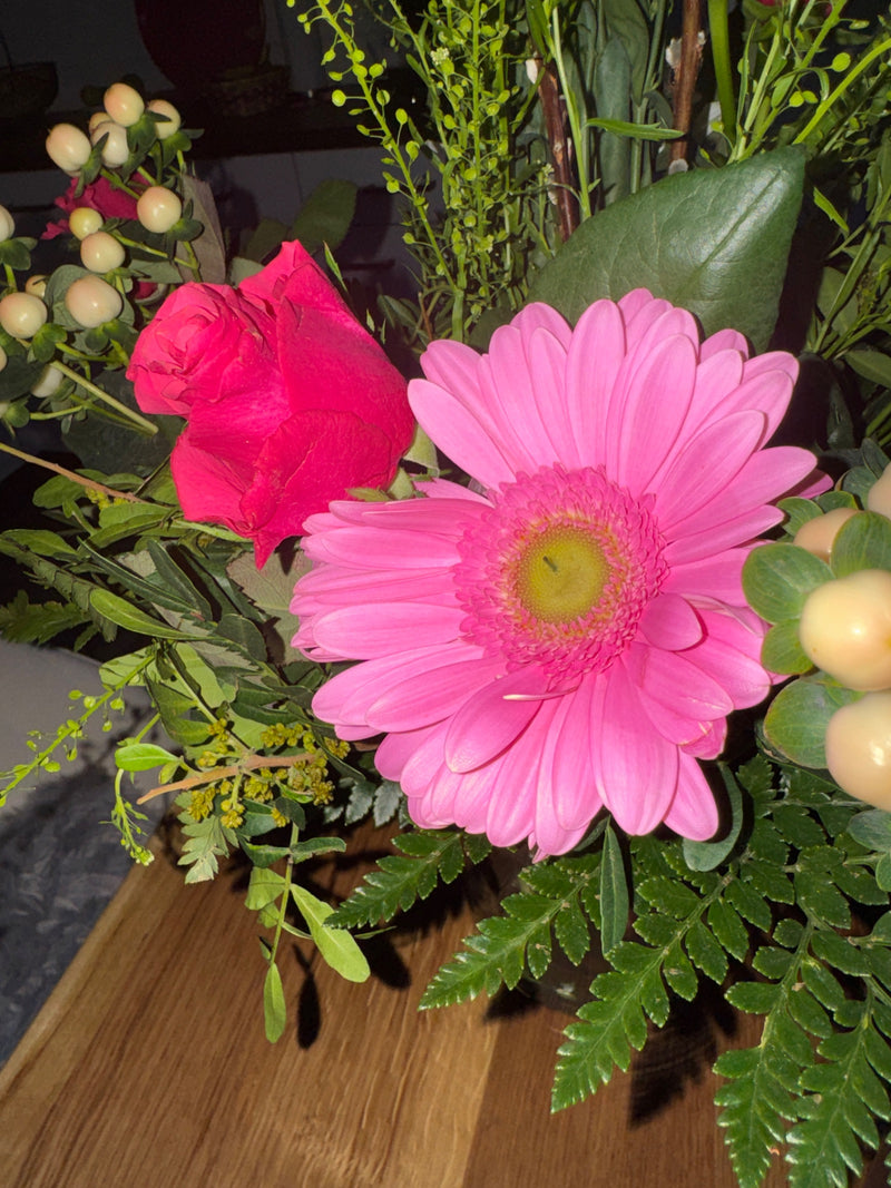 Gerberas — Bild 1