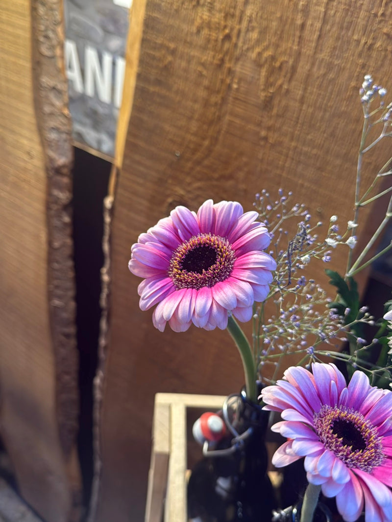 L'image montre deux fleurs de gerbera roses placées dans une bouteille faisant office de vase devant un lambris en bois.