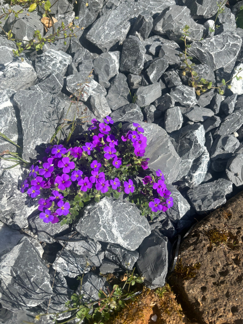 Oreiller bleu ordinaire — Bild 2