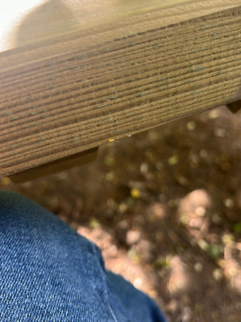 Un minuscule insecte est assis sur une surface en bois, à peine visible. Il s'agit d'un spécimen de l'ordre des thrips.