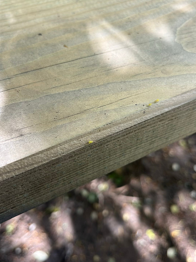 De minuscules thrips jaunâtres sont posés sur une surface en bois. Les insectes sont très petits et se distinguent à peine du fond.