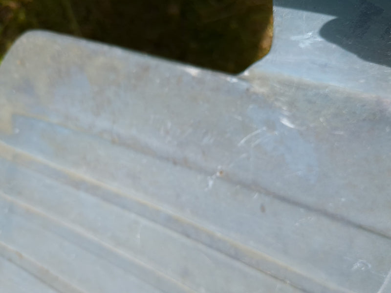 Guêpe creuseuse (genre Psenulus) — Bild 3