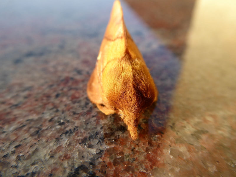 Gloussement d'herbe — Bild 3