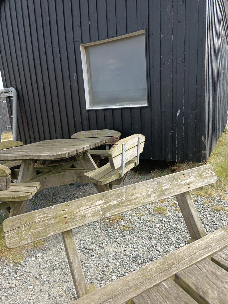 Courlis — Bild 1