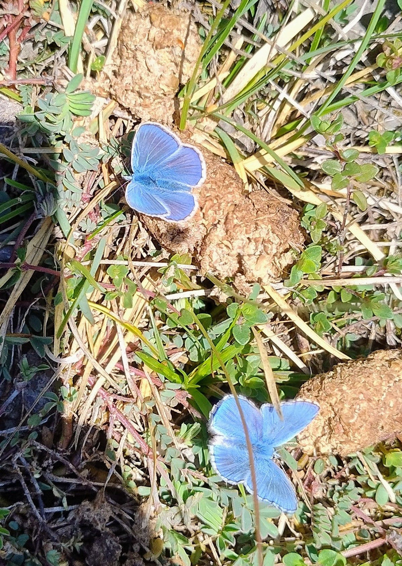 Bleu ciel bleu — Bild 1
