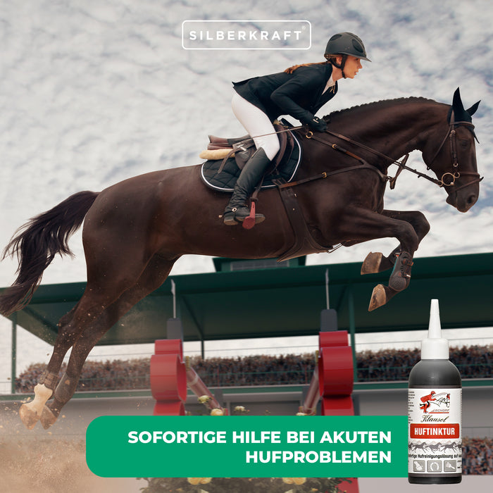 Teinture de sabot pour chevaux : aide immédiate en cas de problèmes aigus de sabots