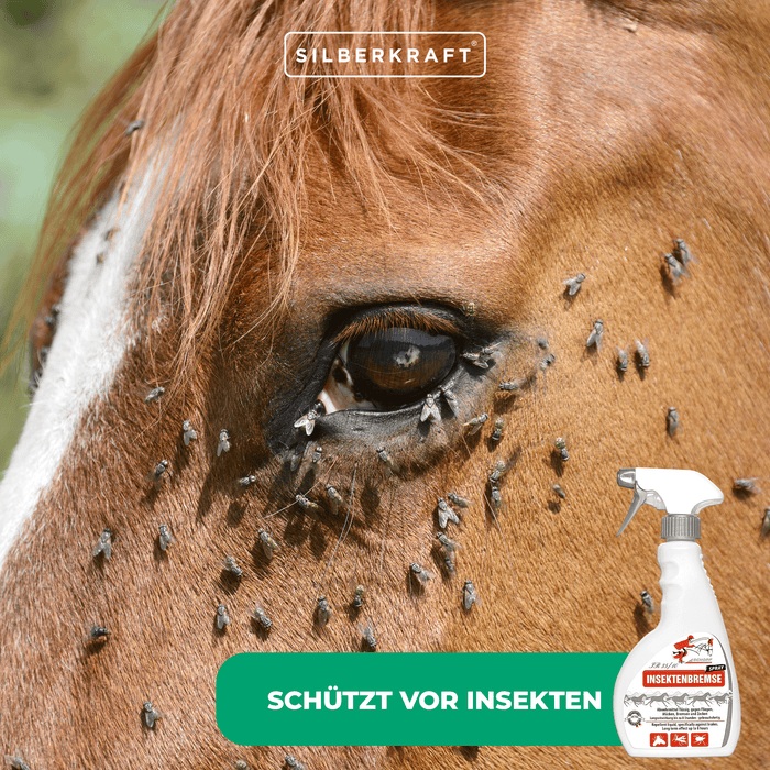 Spray anti-insectes pour chevaux : Protection efficace contre les moustiques, les taons et les tiques