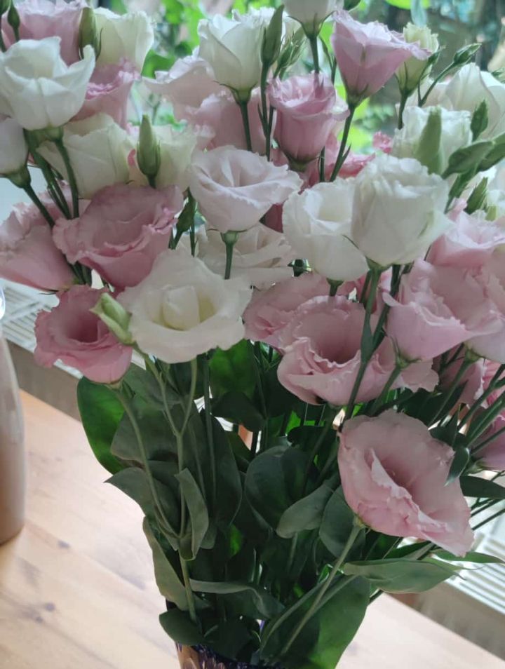 Rose du Japon (Lisianthus) — Bild 1