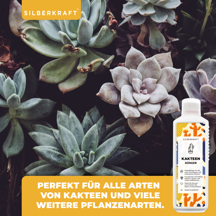 Engrais pour cactus - Engrais liquide minéral NPK avec azote - Engrais pour cactus et plantes succulentes - Fertilisation des cactus