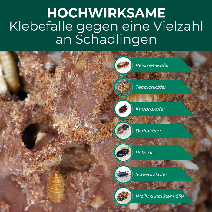 Klebefalle wirksam gegen Reismehlkäfer, Teppichkäfer, Khaprakäfer, Pelzkäfer und weitere Vorratsschädlinge