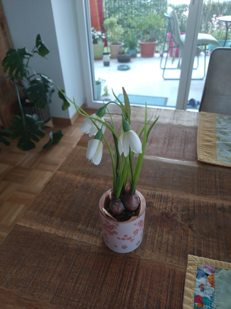 Petit perce-neige — Bild 2