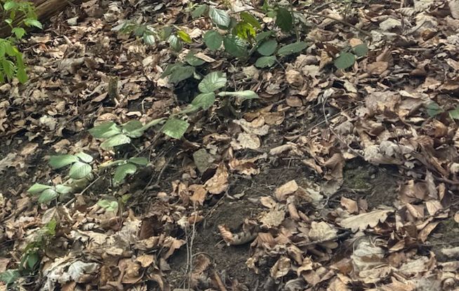 Additionneur — Bild 2