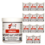 Gel rafraîchissant pour chevaux : relaxation et régénération en douceur - Silberkraft
