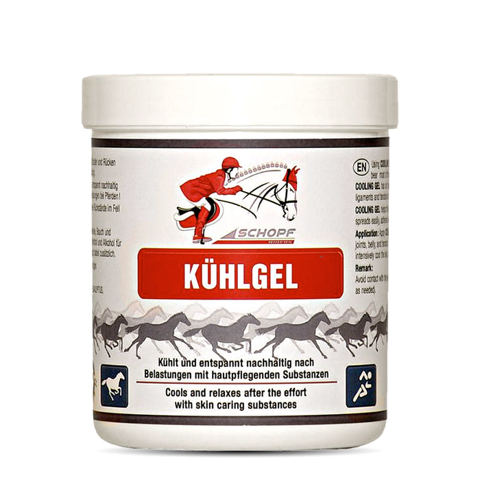 Gel rafraîchissant pour chevaux : détente et régénération douce