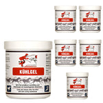 Gel rafraîchissant pour chevaux : relaxation et régénération en douceur - Silberkraft