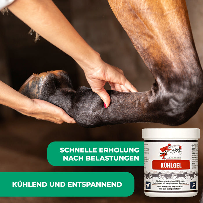 Gel rafraîchissant pour chevaux : détente et régénération douce