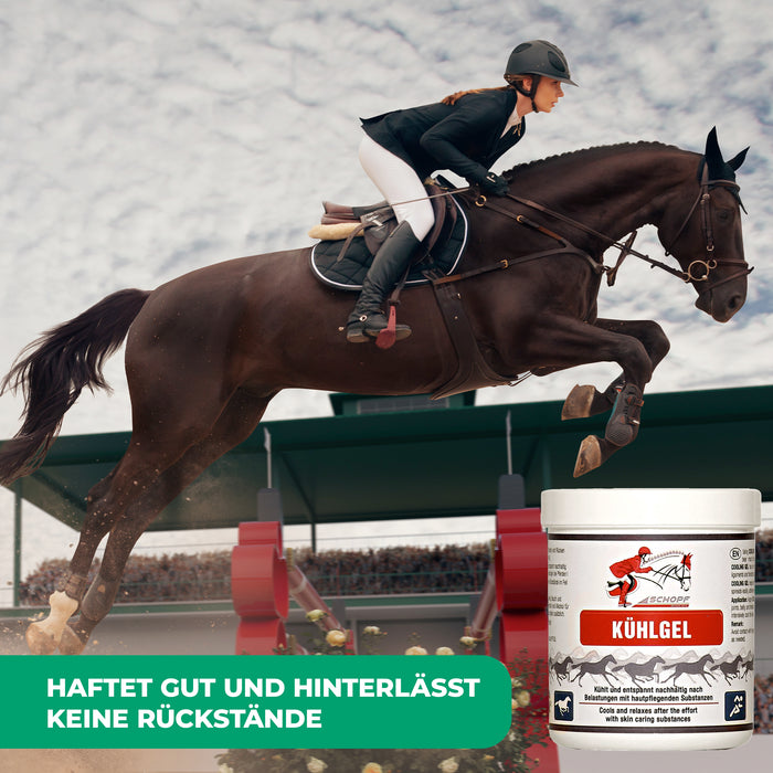 Gel rafraîchissant pour chevaux : détente et régénération douce