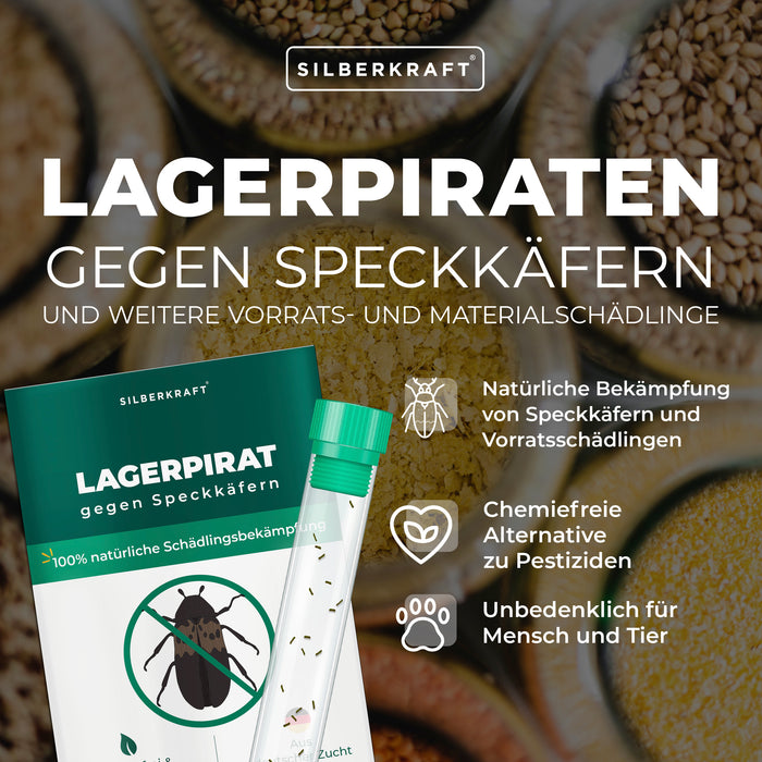 Lagerpirat pour lutter contre les dermestes du lard, les anthrènes des tapis et les insectes ravageurs des produits stockés