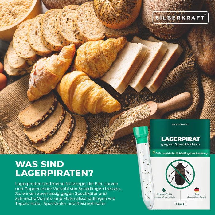 Lagerpirat pour lutter contre les dermestes du lard, les anthrènes des tapis et les insectes ravageurs des produits stockés