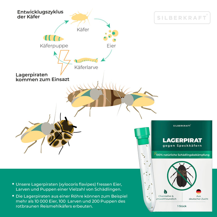 Lagerpirat pour lutter contre les dermestes du lard, les anthrènes des tapis et les insectes ravageurs des produits stockés
