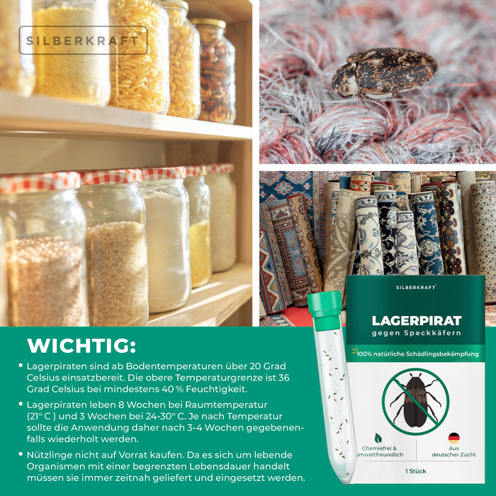 Lagerpirat pour lutter contre les dermestes du lard, les anthrènes des tapis et les insectes ravageurs des produits stockés