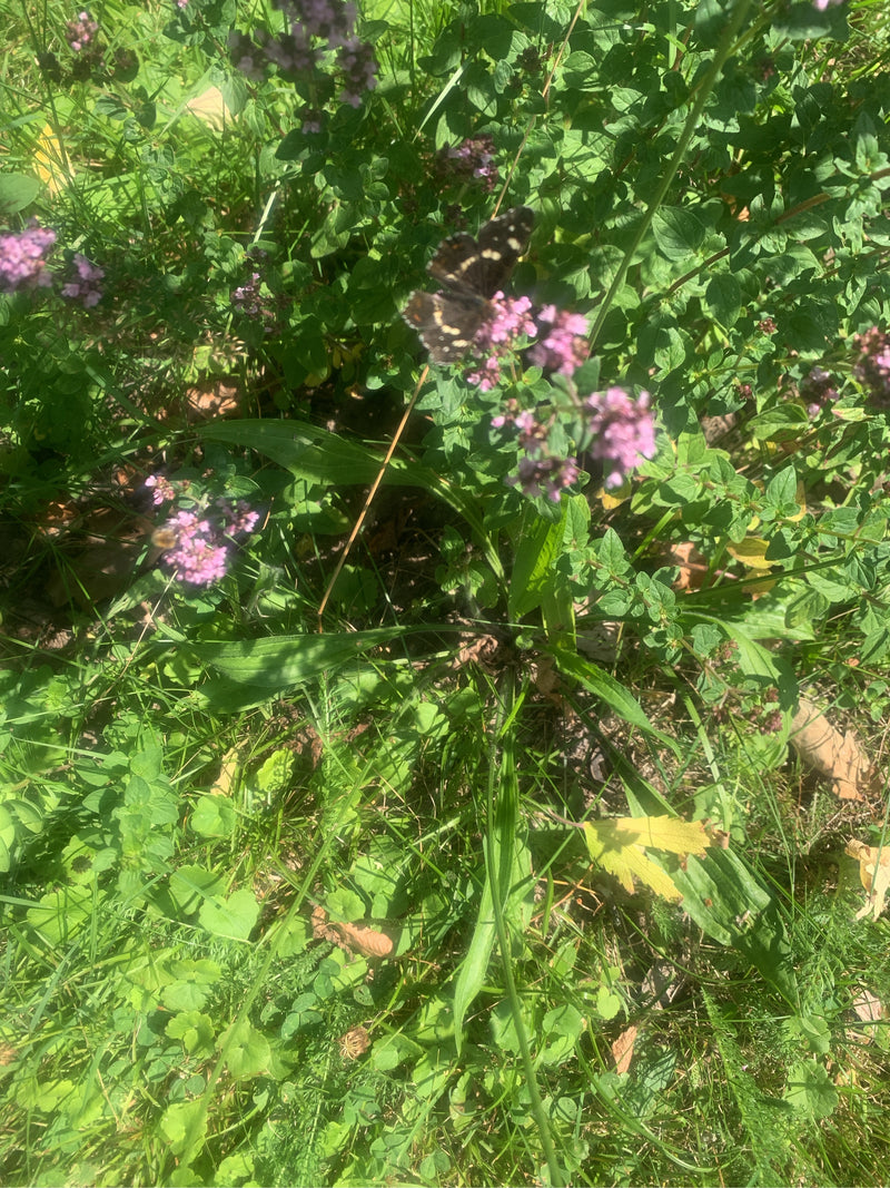 Carte (chenille) — photo 3 sur 14