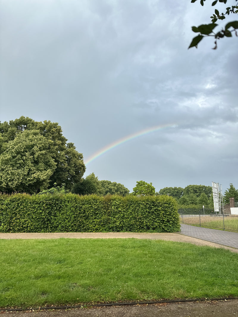 Tilleul — Bild 2