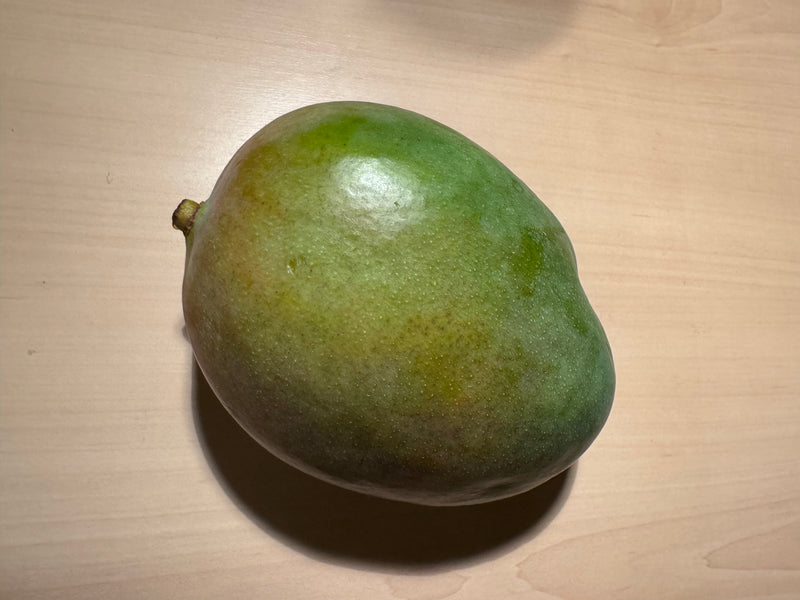 mangue — photo 2 sur 10