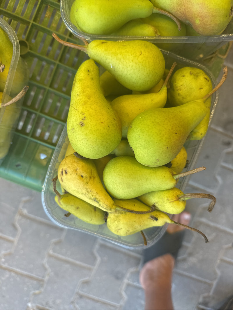 Plusieurs poires nashi mûres reposent les unes près des autres dans un plateau en plastique. Les fruits jaune-vert sont bien visibles du dessus.