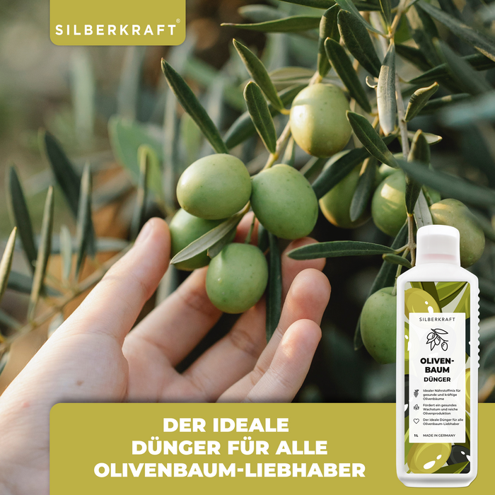 Engrais pour oliviers - Engrais liquide minéral NPK avec azote - Engrais pour oliviers - Engrais pour oliviers