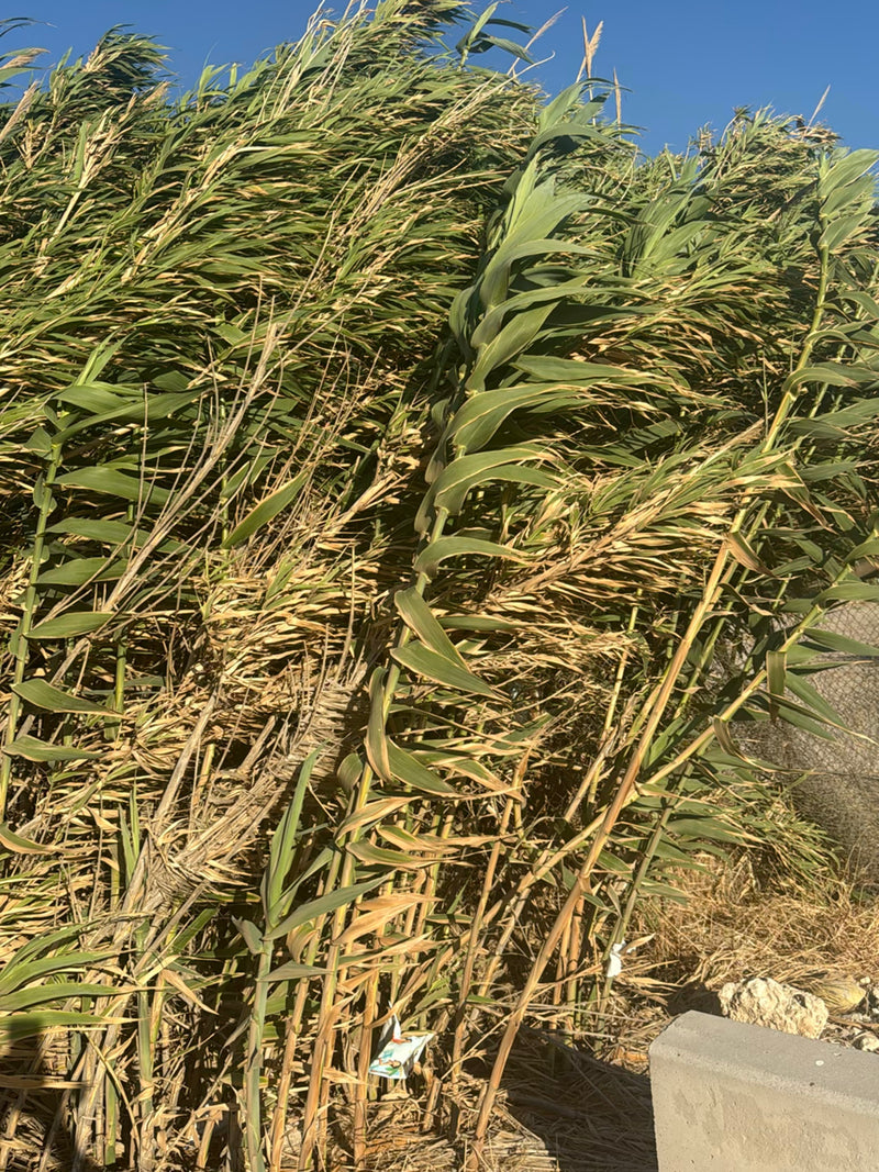 tuyau de pieux — photo 4 sur 11