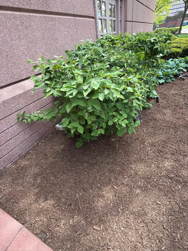 Douille de tuyau — Bild 1
