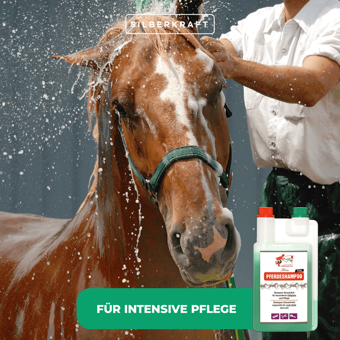 Horse Shampoo Plus : pour un pelage de cheval sain et brillant