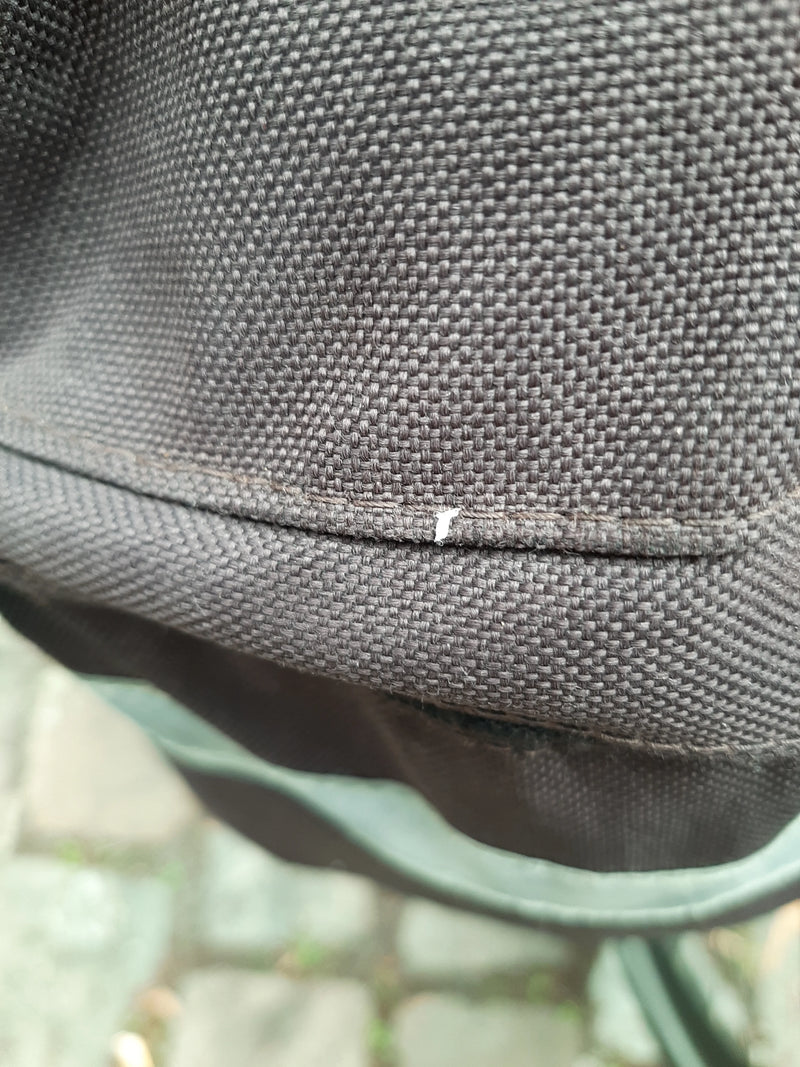 Un gendarme ou un insecte similaire est visible sur un tissu sombre. L'animal se tient immobile sur la surface.