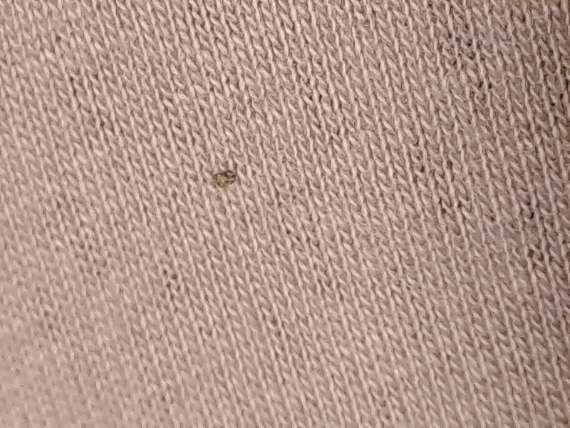 Un tout petit gendarme du platane est assis sur un tissu texturé. L'insecte est très petit et à peine reconnaissable.