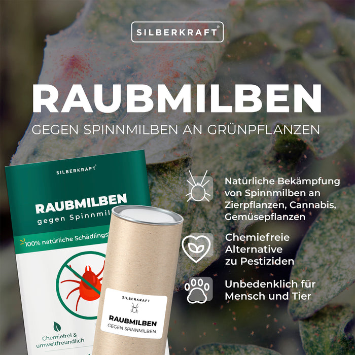 Acariens prédateurs contre les tétranyques sur les plantes vertes