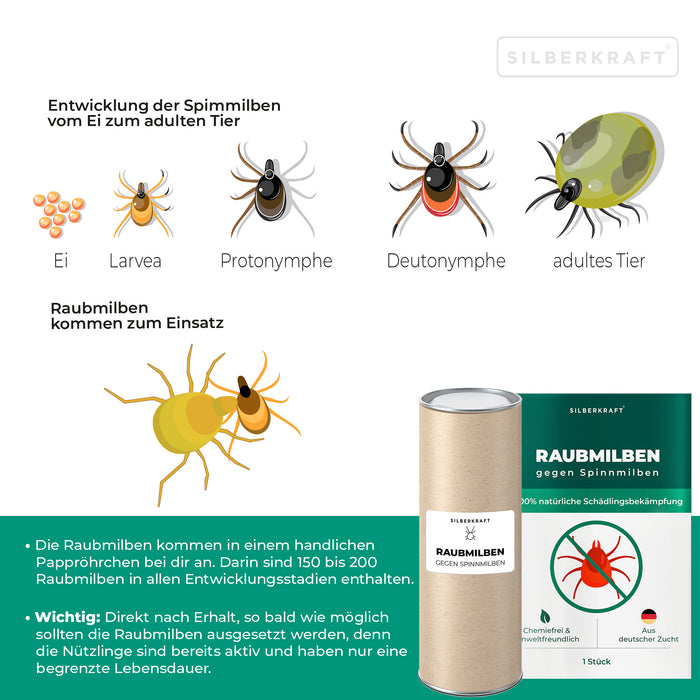 Acariens prédateurs contre les tétranyques sur les plantes vertes