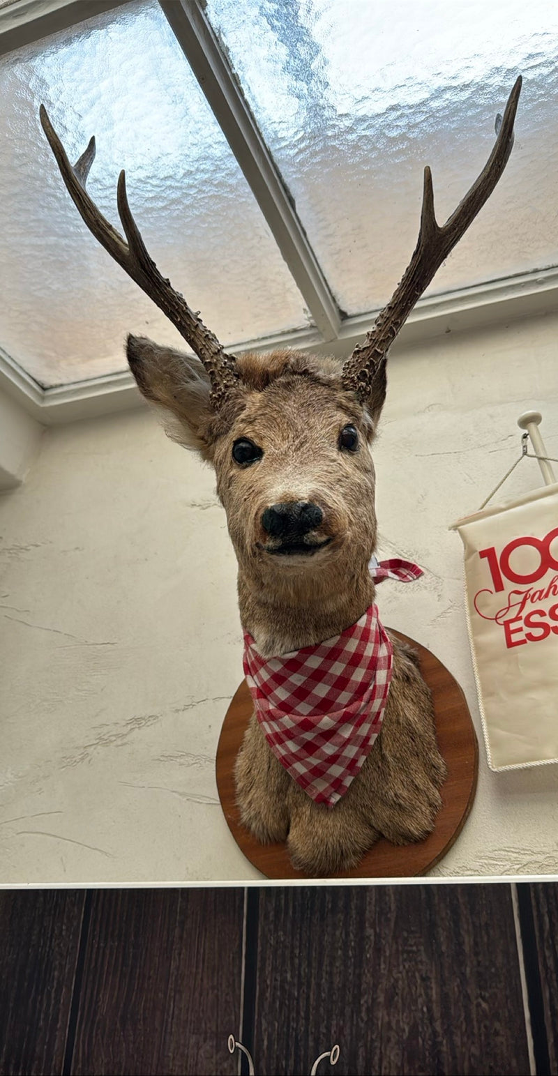 Cerf — Bild 1